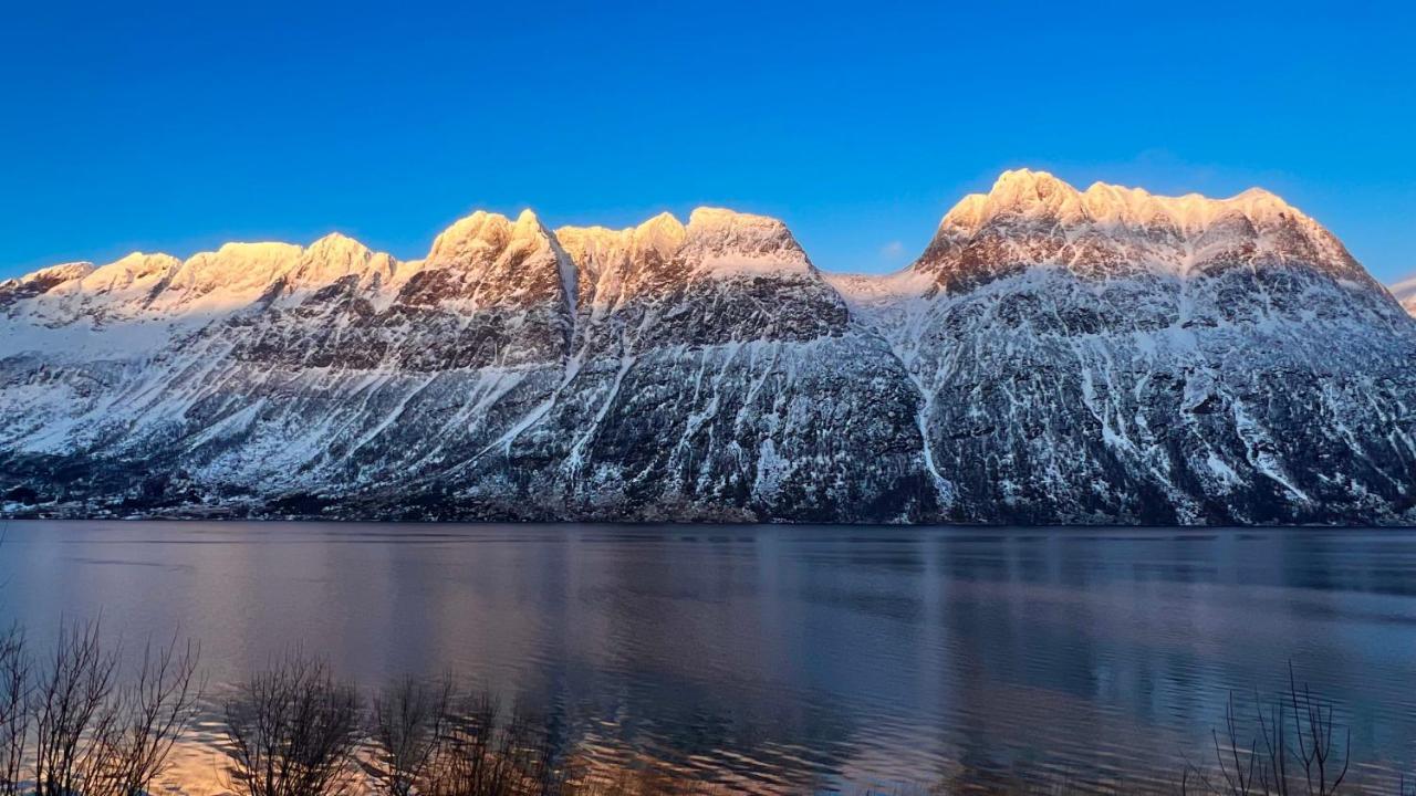 Апартаменты Norwegian Dream Gratangen Экстерьер фото