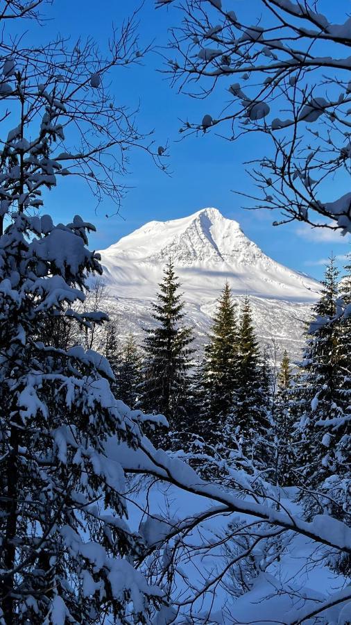 Апартаменты Norwegian Dream Gratangen Экстерьер фото
